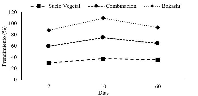 Prendimiento de tallos por tratamientos a nivel de vivero, 2018.