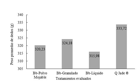 Peso de dedos totales de plátano por tratamiento.
