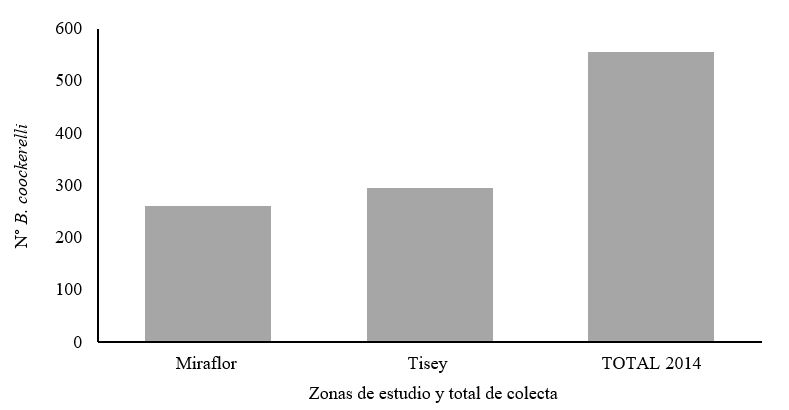 Número
de adultos de B. cockerelli capturados por zona papera, Estelí 2014.