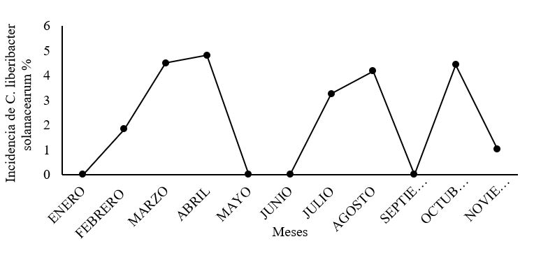 Porcentaje de incidencia de síntomas de daños similares a C. liberibacter
en el cultivo de papa, Estelí 2014.
