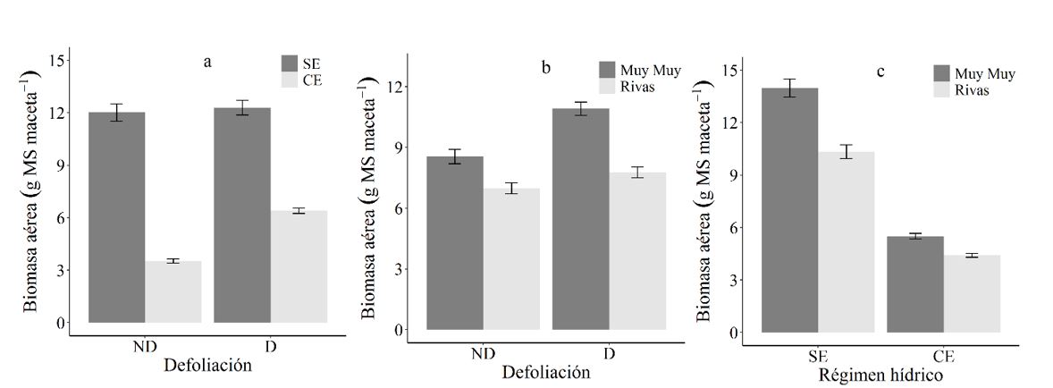 Biomasa aérea
(g MS maceta-1) de C.
mucunoides en función de la
defoliación y el régimen hídrico (a), en función de la defoliación y la procedencia
(b) y en función del régimen hídrico y la procedencia (c).