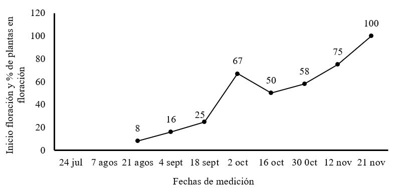 Inicio de
floración y porcentaje de plantas en floración de Moringa oleifera cv
Honghe
en la etapa de establecimiento en plantación para producción de semillas.