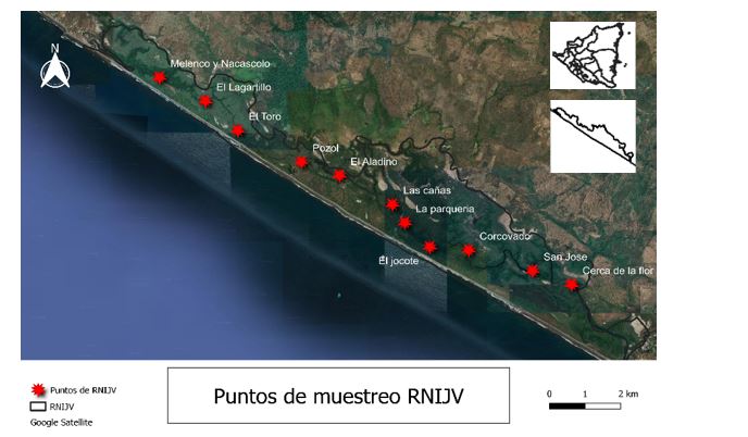 Mapa de la Reserva Natural Isla Juan Venado (RNIJV). Los puntos rojos
señalan
los 11 puntos muestreados a lo largo de la isla. Autor: Carlos Solís (2022).