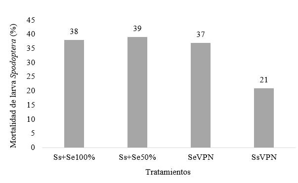 Porcentaje de mortalidad de larvas de Spodoptera
después de 24 horas
de aplicación
de dos aislados de virus de la poliedrosis nuclear (VPN).