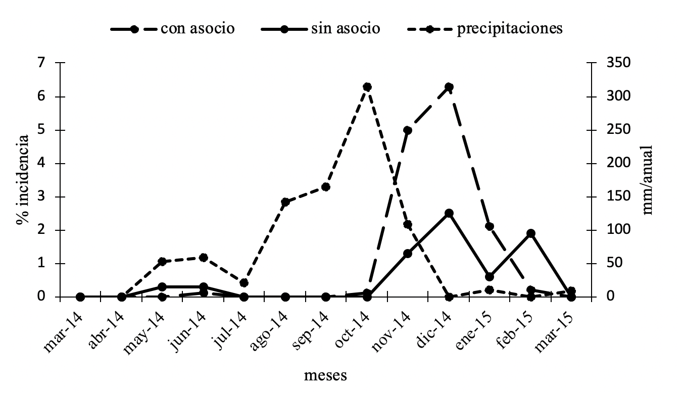 Porcentaje de
incidencia de Fusariosis. 