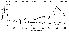 Fluctuación poblacional de la familia Curculionidae en el cultivo de aguacate las fincas Santa Elisa Brisas del Sur El Paraíso y San Lorenzo evaluadas entre los meses de julio a noviembre del 2019