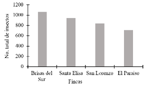 Abundancia total de insectos encontrados el cultivo de aguacate en cuatro fincas entre julio a noviembre del 2019