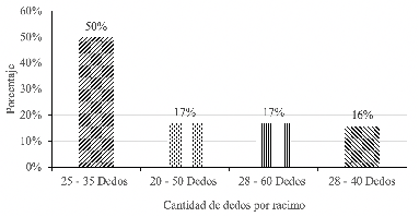 Producción estimada de dedos de
plátano por finca