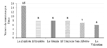 Cantidad de manzanas
por finca destinada al cultivo de plátano.