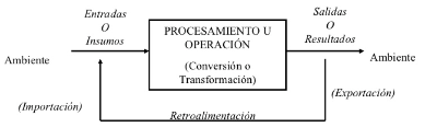 Organizaciones como sistemas