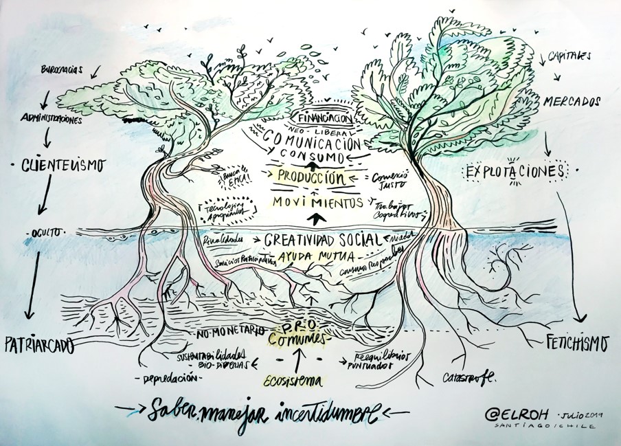 Manglares contra la
Financiarización global
