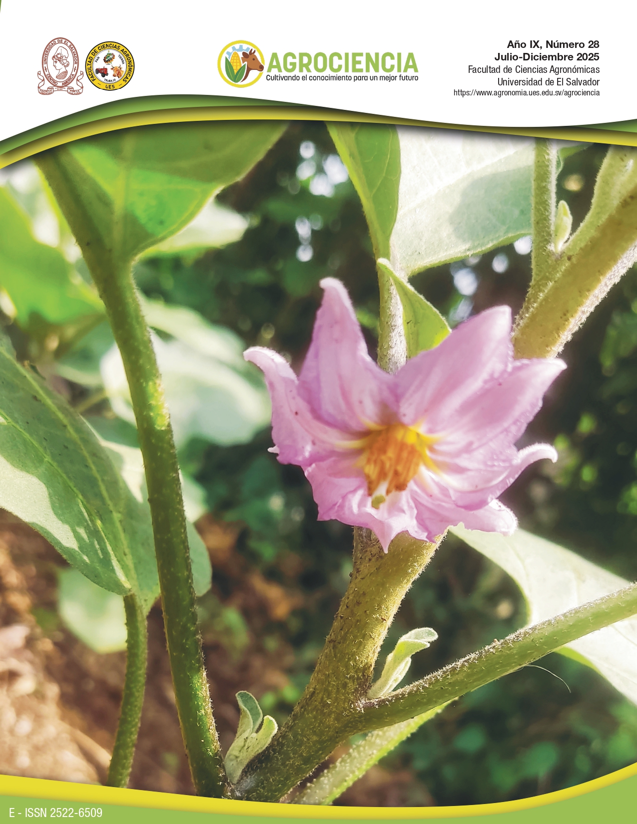 					Ver Vol. 9 Núm. 28 (2025): Julio-Diciembre 2025
				