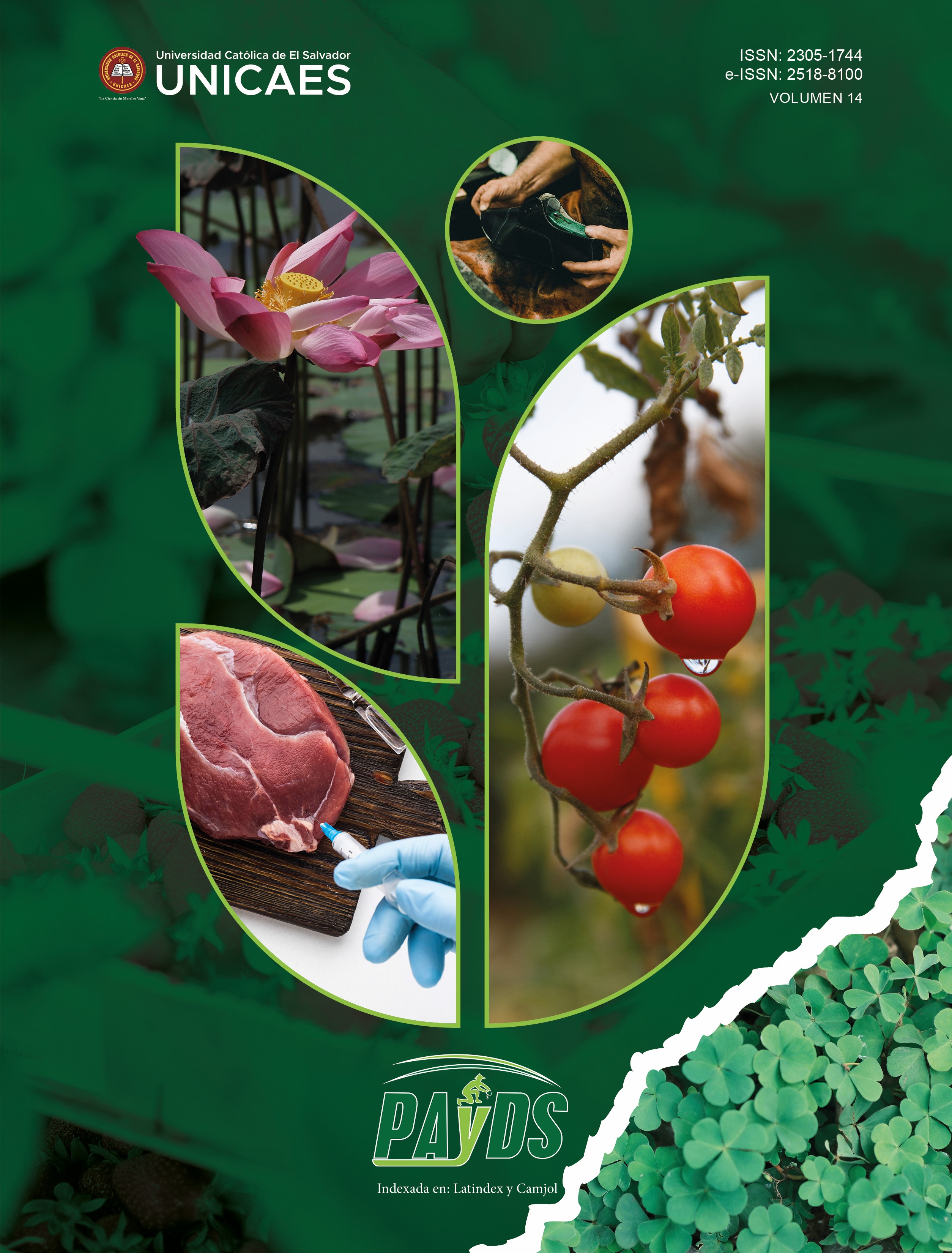 					Ver Vol. 14 (2025)
				