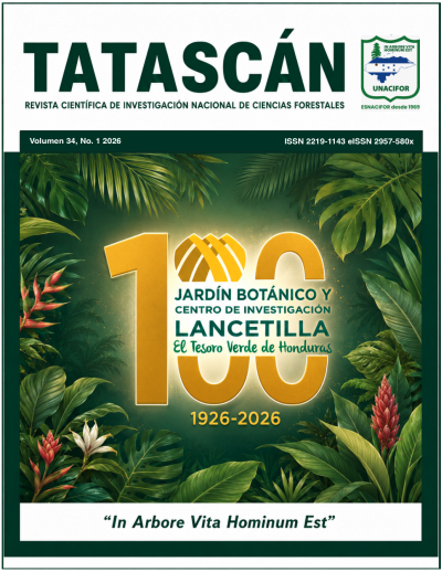 Portada Tatascan